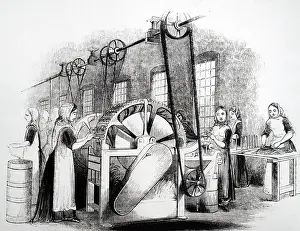 Driven: Illustration showing Heckling flax