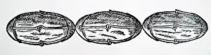 Lift: Illustration showing Lodestones armed with iron