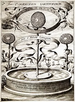 1643: Illustration showing The magnetic power of the