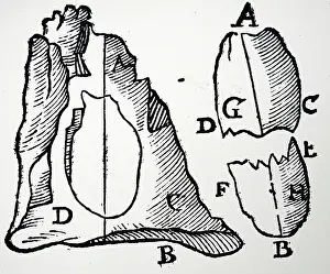 Johannes: Illustration showing A piece of lodestone in rock