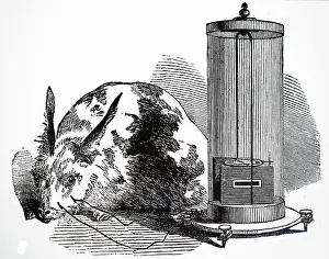 Current: Illustration showing Pohl's commutator 1890