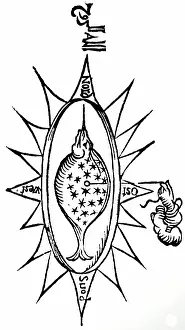 Thread: Illustration showing a simple compass in the shape of a fish