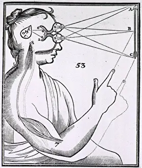 Senses: An illustration showing a theory of vision ?