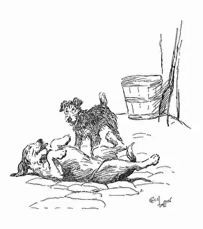 Scamp: Illustration, Smiler and Scamp
