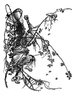 Thorns: Illustration, Sweetheart Roland