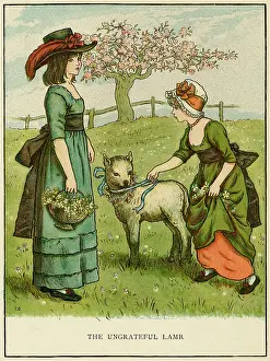 Ungrateful: Illustration, The Ungrateful Lamb
