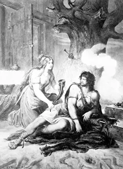 Illustration of The Valkyrie