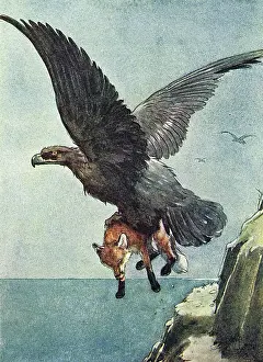 Picked: Illustration, White-Ear and a large eagle