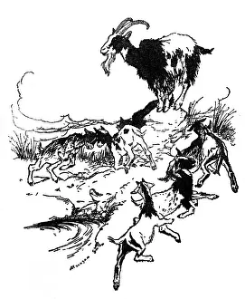 Nanny: Illustration, The Wolf and Seven Kids