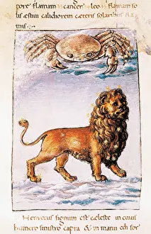 Zodiacal: Illustration of the work Citt