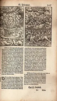 Bibles: Illustrations of the Apocalypse from a Low German Luther Bib