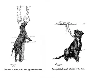 Butchers: Illustrations of a black dog by Cecil Aldin