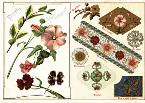 Ernst Guillot: Image of mallow and China pink from an illuminated