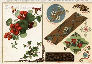 Ernst Guillot: Images of nasturtium and ivy from manuscripts