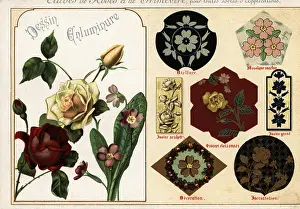 Ernst Guillot: Images of roses and primula from manuscripts and