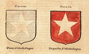 Greek Myth: Imaginary coat of arms of the Dioscuri twins Castor