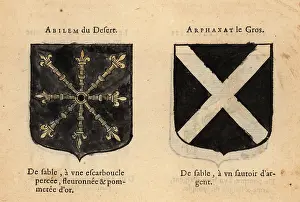 Armorial: Imaginary coats of arms of Abilan of the Desert