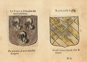 Armorial: Imaginary coats of arms of Ancient Knight of the