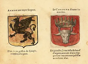 Armorial: Imaginary coats of arms of Armont of the Green