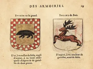 Checkerboard: Imaginary coats of arms of Busterine the Great