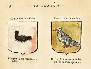 Armorial: Imaginary coats of arms of Galindes of the Hillock