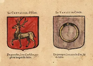 Chez Rolet Boutonne: Imaginary coats of arms of the Good Knight Descor