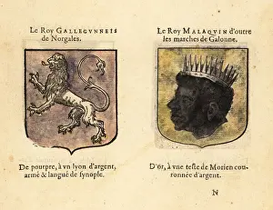 Chez Rolet Boutonne: Imaginary coats of arms of King Galegantis of