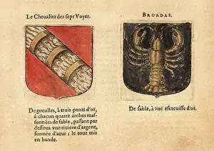 Armorial: Imaginary coats of arms of the Knight of the Seven