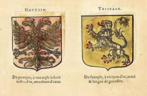 Blazon: Imaginary coats of arms of two Knights of the