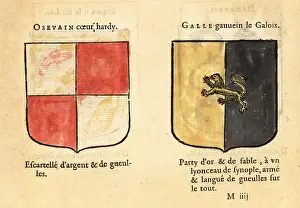 Chez Rolet Boutonne: Imaginary coats of arms of Knights of the Round