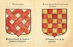 Checkerboard: Imaginary coats of arms of Knights of the Round