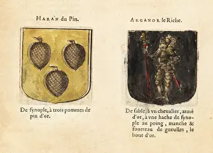 Armorial: Imaginary coats of arms of Knights of the Round