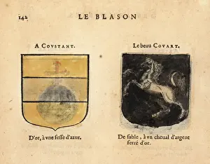 Armorial: Imaginary coats of arms of Knights of the Round