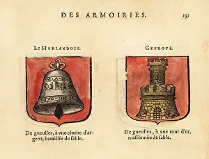 Armorial: Imaginary coats of arms of the Man of Ireland