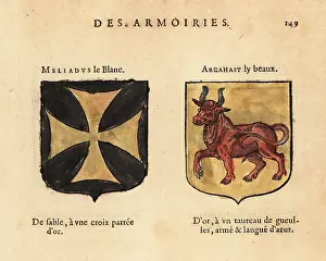 Black Field: Imaginary coats of arms of Meliadus the White