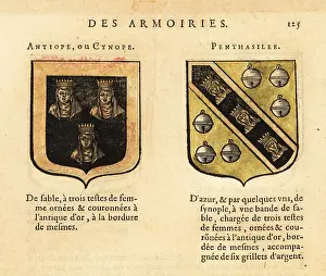 Antiope: Imaginary coats of arms of Queens of the Amazons
