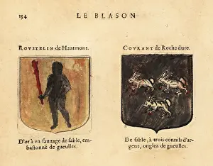 Armorial: Imaginary coats of arms of Rousteline of the High