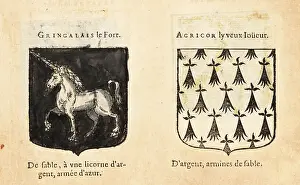 Black Field: Imaginary coats of arms of Sir Gingalain and Agrior