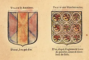 Armorial: Imaginary coats of arms of Yvain the Bastard and