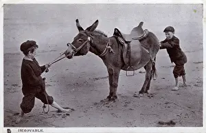 Grenville Collins / Tom Gillmor Collection: Immovable - 2 young boys fail to get a beach donkey to move!