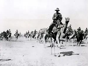 Beersheba: Imperial Camel Corps Brigade, Beersheba, WW1