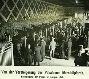 Prospective: The Imperial Marstall in Berlin, 1919
