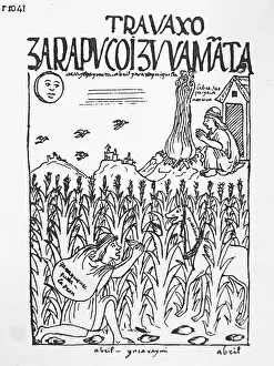 Poma: Inca thief and worker protecting crops