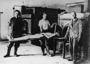 Incinerators: Incinerator in the concentration camp