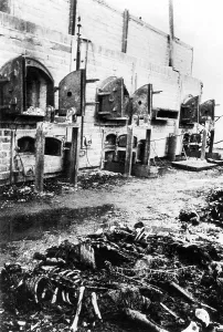 Skeletons: Incinerators in the Majdanek concentration camp