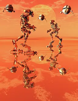 Probe: Independent working robots