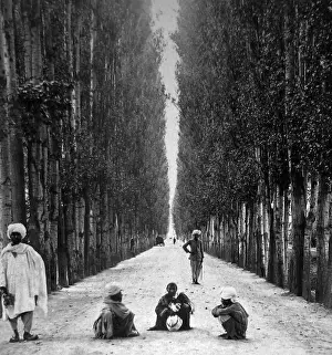 Cashmere: India - Baramula to Cashmere Road