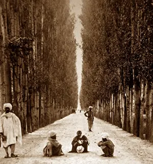 Cashmere: India - Baramula to Cashmere Road