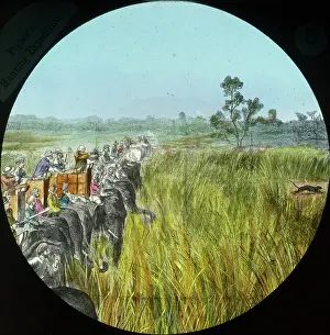 Howdahs: India - Big Game Hunting