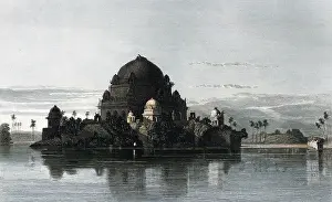 Shere: INDIA BIJAIPUR
